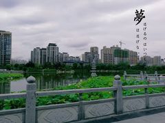 -木塔寺遗址生态公园