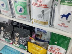 -中农国际动物医院24小时·猫科·骨科·急重症中心