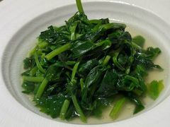 橄榄油高山豌豆苗-庆春朴门