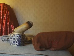 -莱仪堂艾灸经络养生馆(九亭一店)