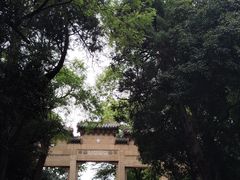 -灵谷景区