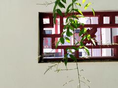 -渭滨公园