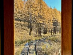 -莫尔道嘎国家森林公园