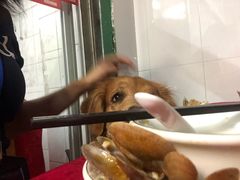 -蛇口康乐快餐鱼仔档(翠苑小区店)