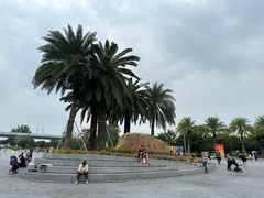 -宝安西湾红树林湿地公园