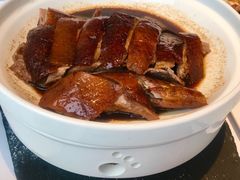 陈皮烧鹅-粤界(望京金辉店)