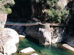 -宁波浙东大竹海景区