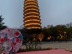 -红梅公园