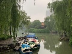 -西苑公园