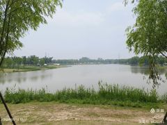 -上海滨江森林公园