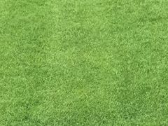 -小八仙·宴(三峡茶庄店)