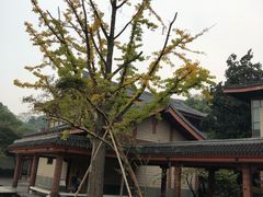 -浙江省博物馆(孤山馆区)