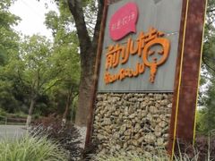 -前小桔亲子创意农场·草莓采摘·露营烧烤