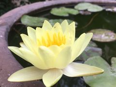 -中国蓝印花布馆