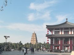 -唐猫庭院·千年陕菜(大唐不夜城店)