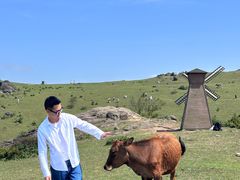 -大姆山草场