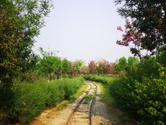 -西青郊野公园