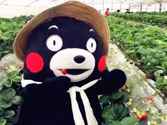 -宁波鄞州万达广场