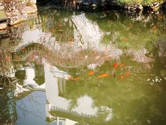 -南京民俗博物馆(甘熙故居)