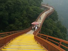-少华山国家森林公园