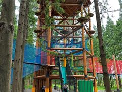 -黄海国家森林公园