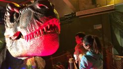 点击看大图 -恐龙探索乐园(磁器口店)