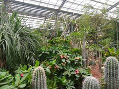 -呀路古热带植物园