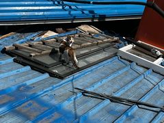-22cafe