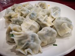 猪肉野菜-大眼锅贴水饺(河东店)