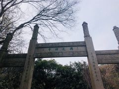 -雨花胜境