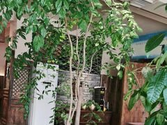 -慢丽江·云南野生菌土鸡锅(付家庄店)