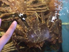 iphone_upload_pic-蟹之国·精品蟹料理(极地店)