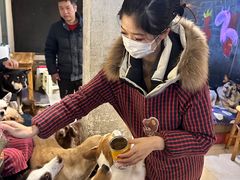 -萌喵宠狗爱心宠咖