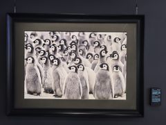 -罗红摄影艺术馆