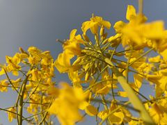 -名花谷生态庄园