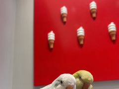 -DQ·蛋糕·冰淇淋(嘉兴南湖万达店)