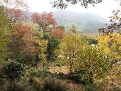 -塔川景区