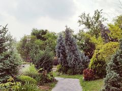 -府河摄影公园