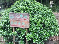 -杭州西湖风景名胜区-三生石