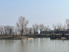 -盐城丹顶鹤湿地生态旅游区