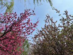 -元大都城垣遗址公园