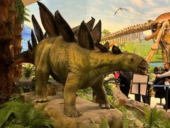 -辽宁古生物博物馆