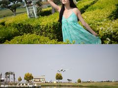 -空港花田景区