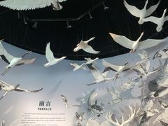 -中国湿地博物馆