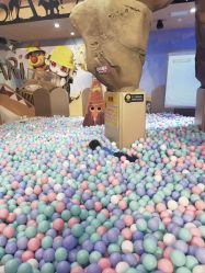 点击看大图 -卡通尼·Safari非洲探索乐园·生日会(金桥国际商业广场店)