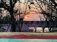 -上海山野camping·户外天幕烧烤·团建拓展营地