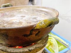 -威邵鸡煲(西华路总店)
