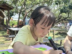 -杨梅红艺术教育(百花教学中心)