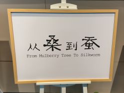 -太湖雪蚕桑文化园