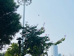 -白鹭洲公园